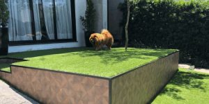 grama-sintetica-bh-pet-cachorro