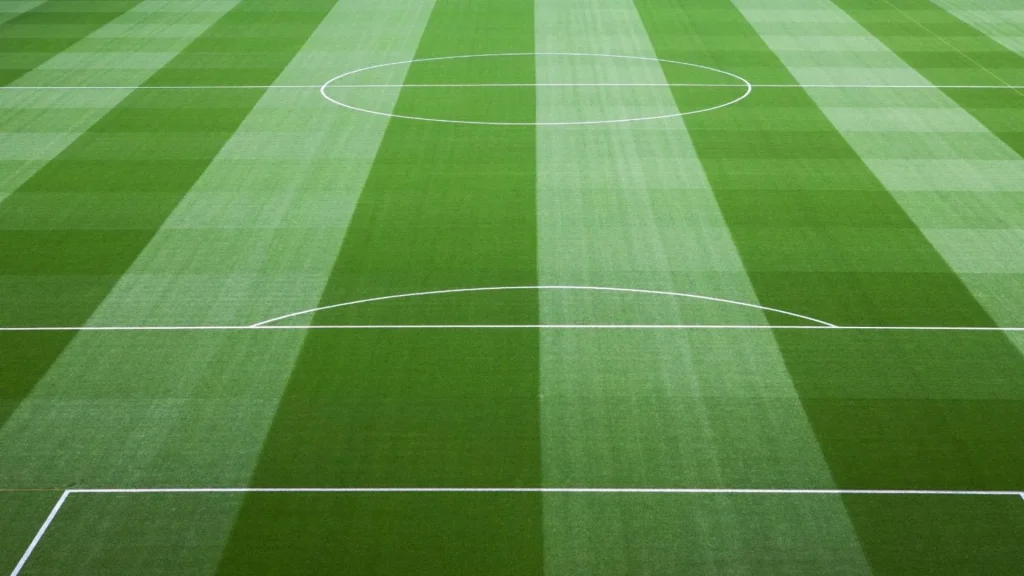 grama sintetica de campo society