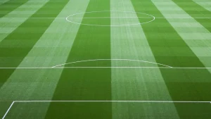 grama sintetica de campo society