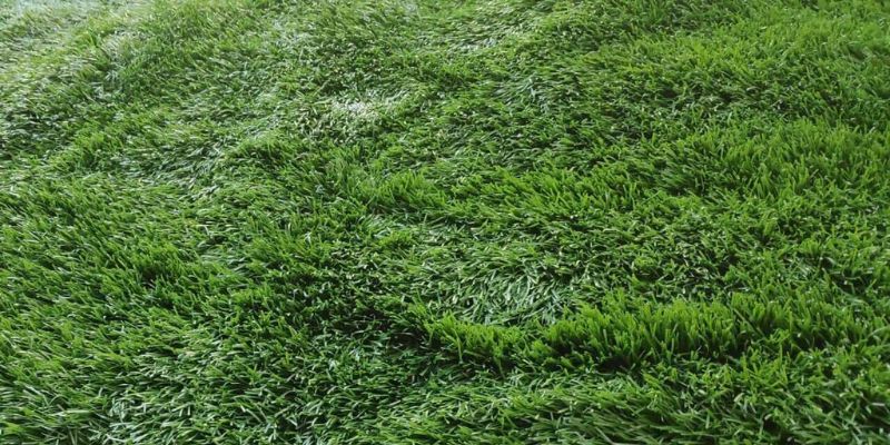 metro grama sintetica