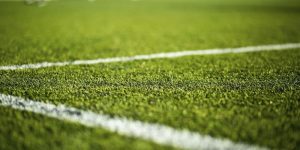 grama sintética valor